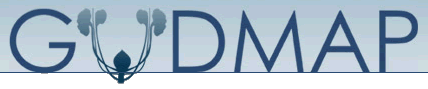 gudmap