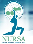 nursa